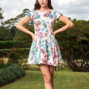 Agua by Agua Bendita Linen Embroidered Pupe Prado Mini Dress Large